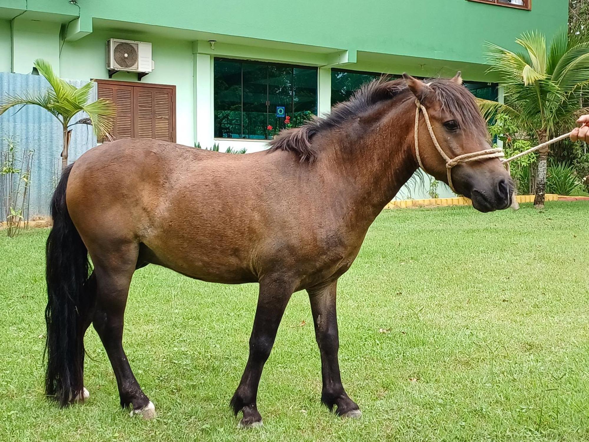 Pousada Chacara Rio Jordao Florianópolis 외부 사진