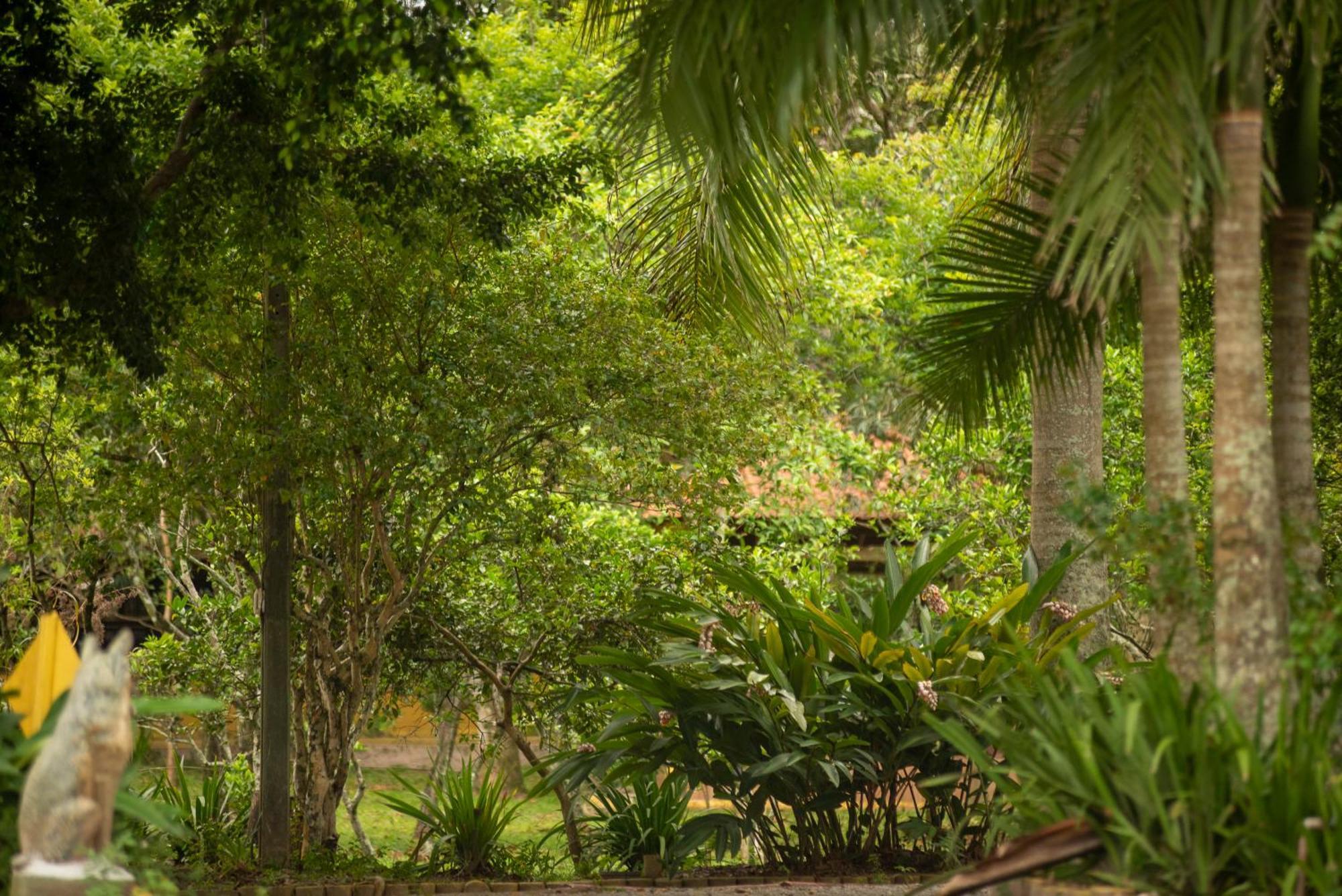 Pousada Chacara Rio Jordao Florianópolis 외부 사진